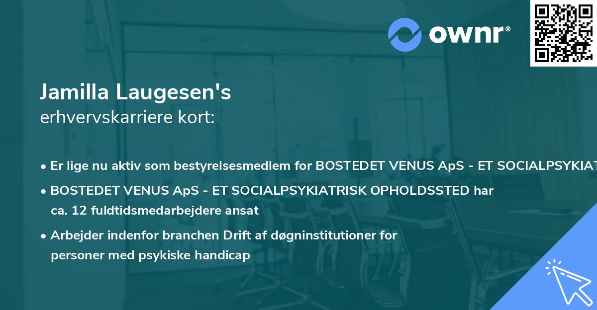 Jamilla Laugesen's erhvervskarriere kort