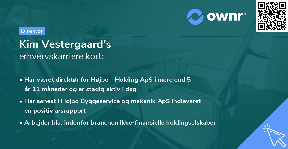 Kim Vestergaard's erhvervskarriere kort