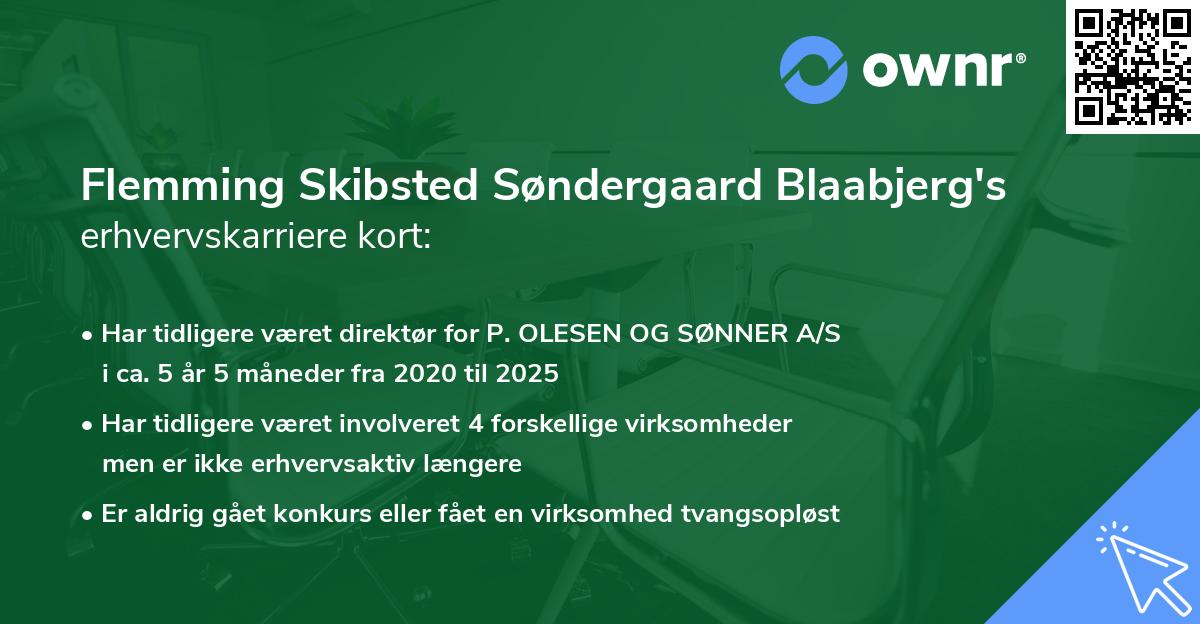 Flemming Skibsted Søndergaard Blaabjerg's erhvervskarriere kort