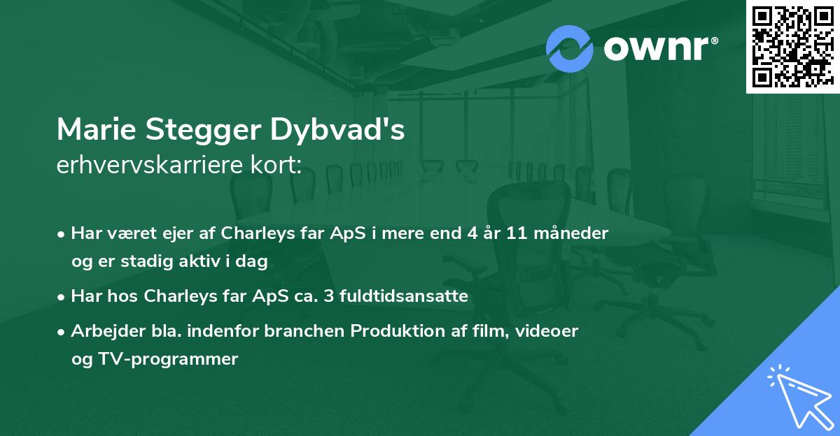 Marie Stegger Dybvad's erhvervskarriere kort