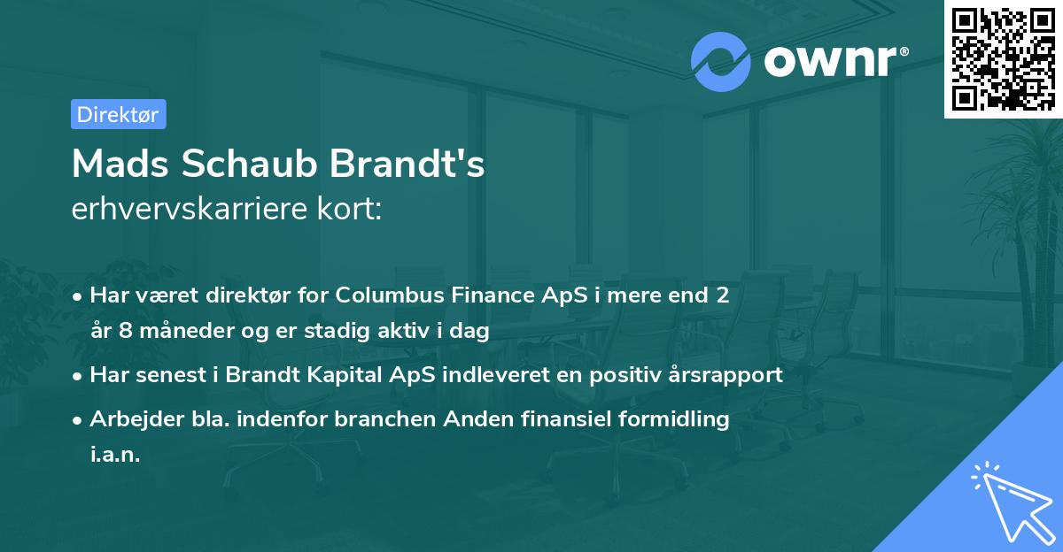 Mads Schaub Brandt's erhvervskarriere kort