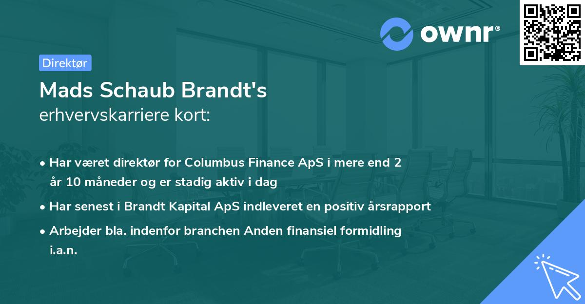 Mads Schaub Brandt's erhvervskarriere kort