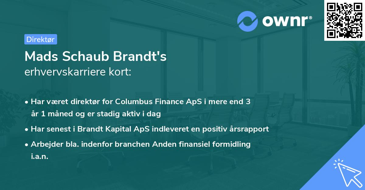 Mads Schaub Brandt's erhvervskarriere kort