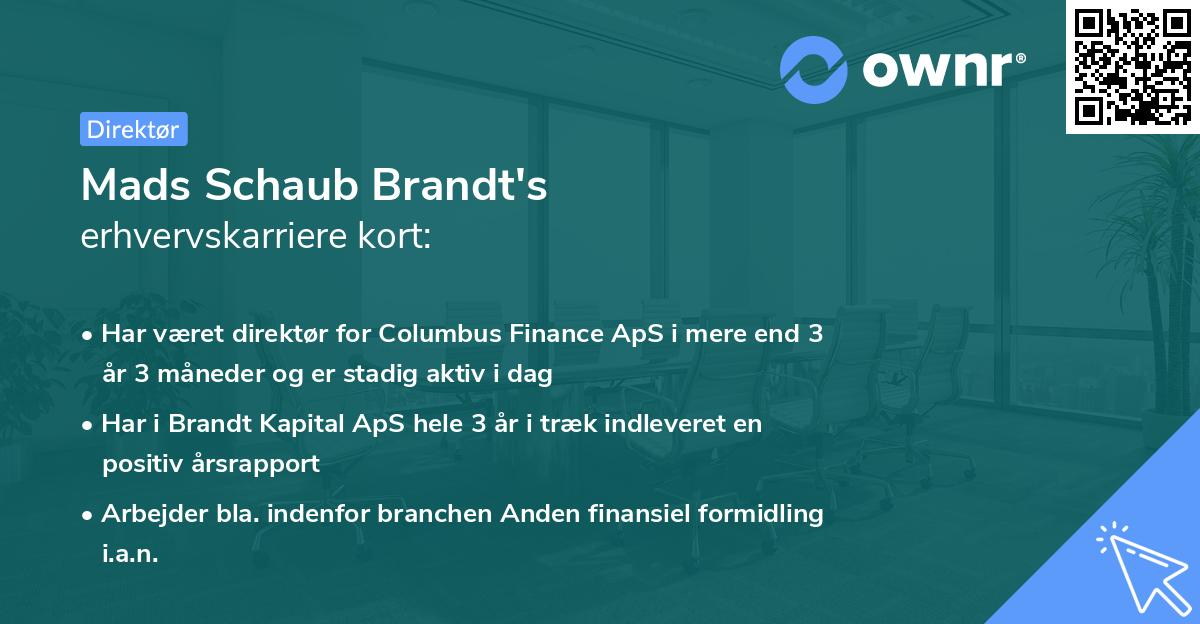 Mads Schaub Brandt's erhvervskarriere kort