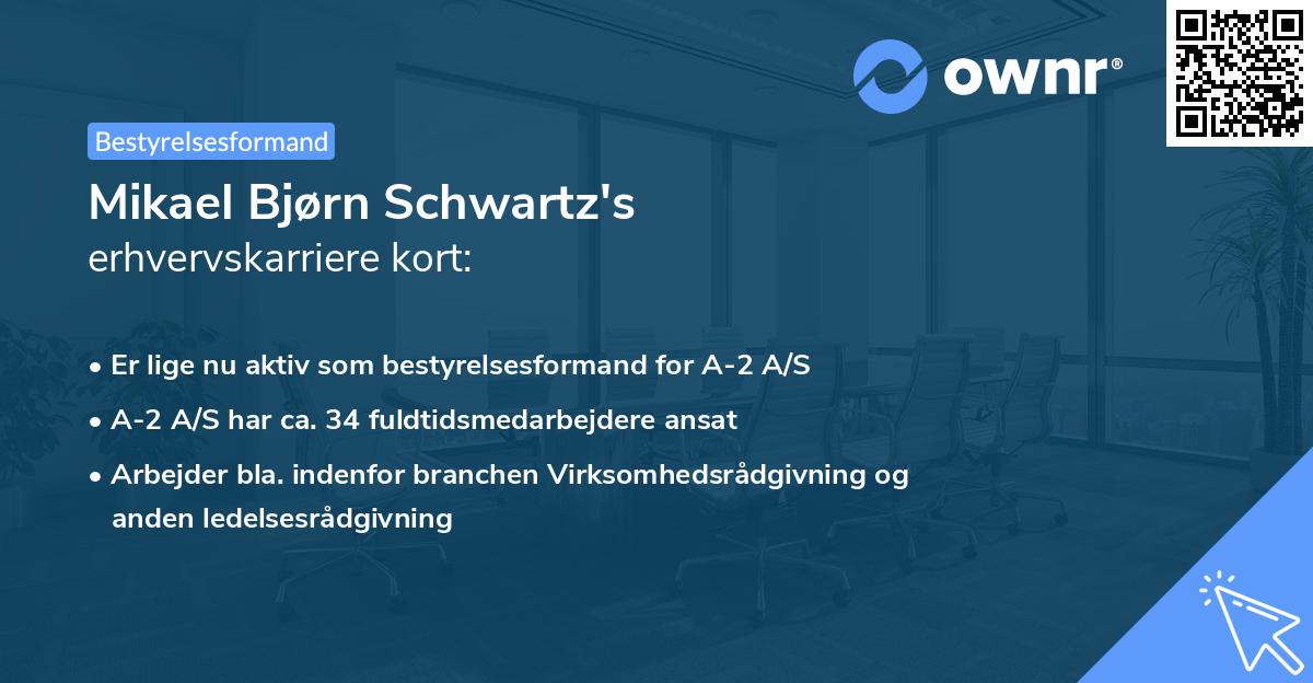 Mikael Bjørn Schwartz's erhvervskarriere kort