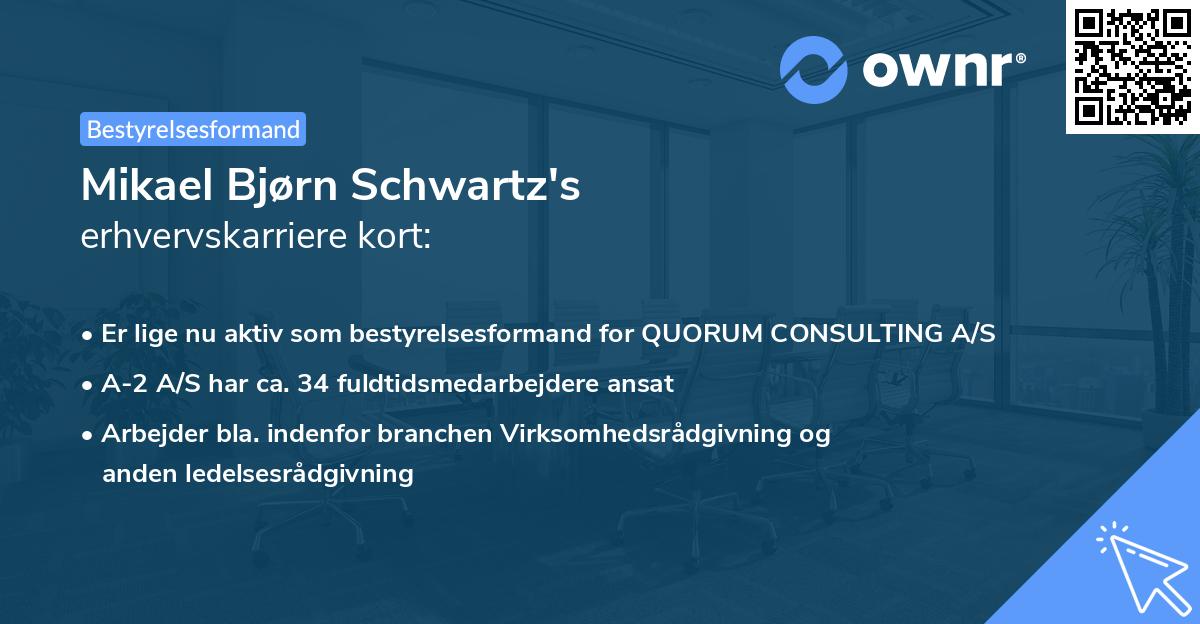 Mikael Bjørn Schwartz's erhvervskarriere kort