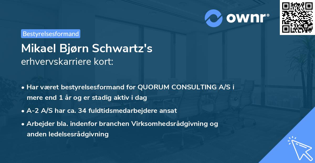 Mikael Bjørn Schwartz's erhvervskarriere kort