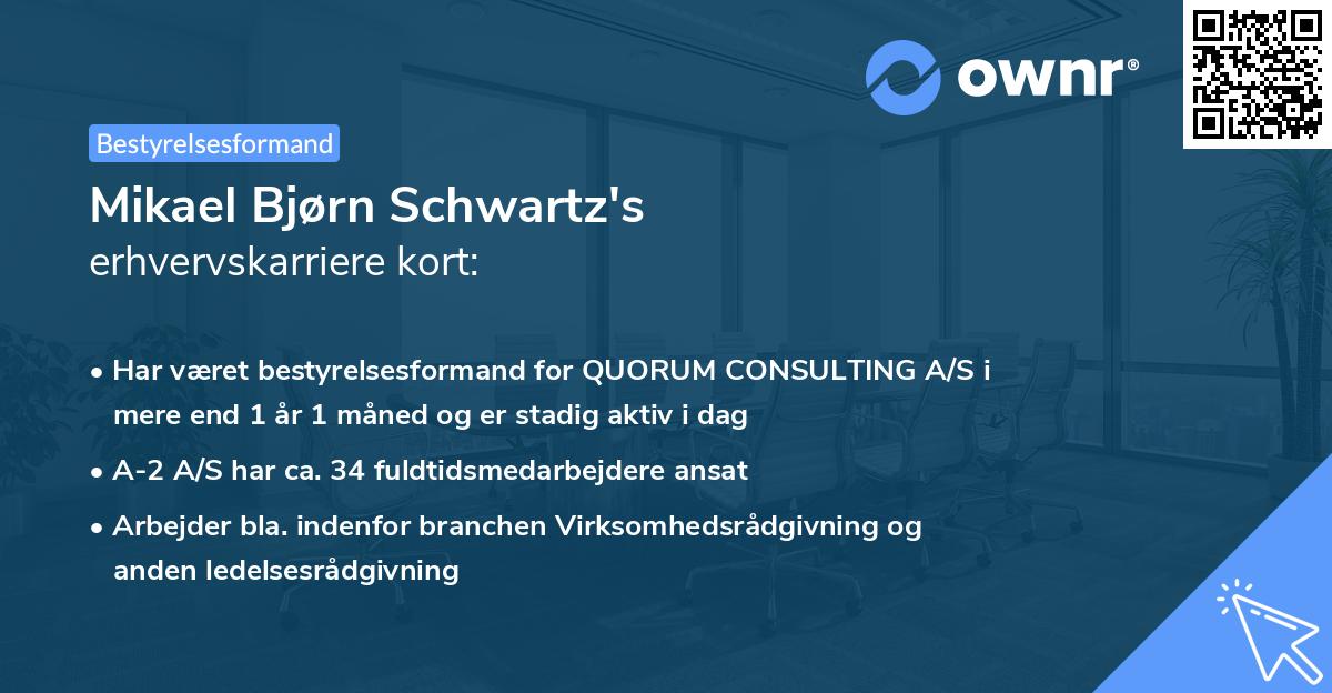 Mikael Bjørn Schwartz's erhvervskarriere kort