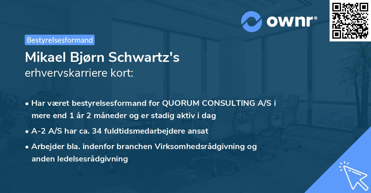 Mikael Bjørn Schwartz's erhvervskarriere kort