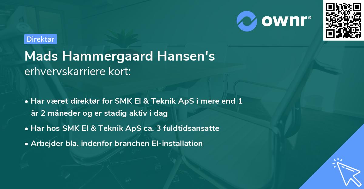 Mads Hammergaard Hansen's erhvervskarriere kort