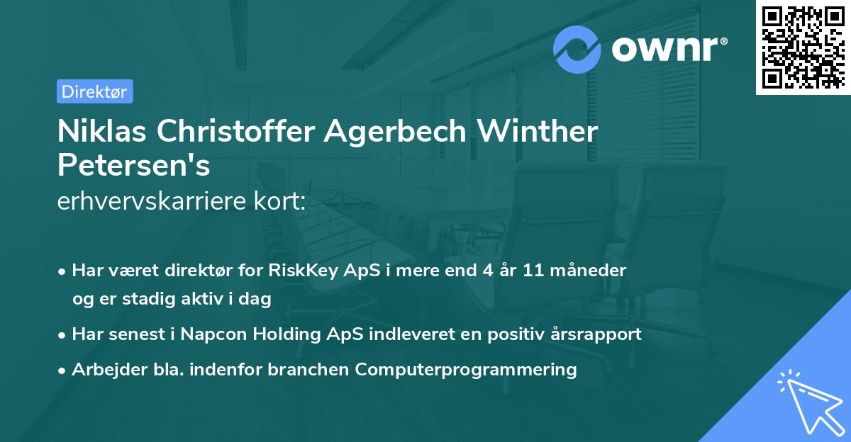 Niklas Christoffer Agerbech Winther Petersen's erhvervskarriere kort