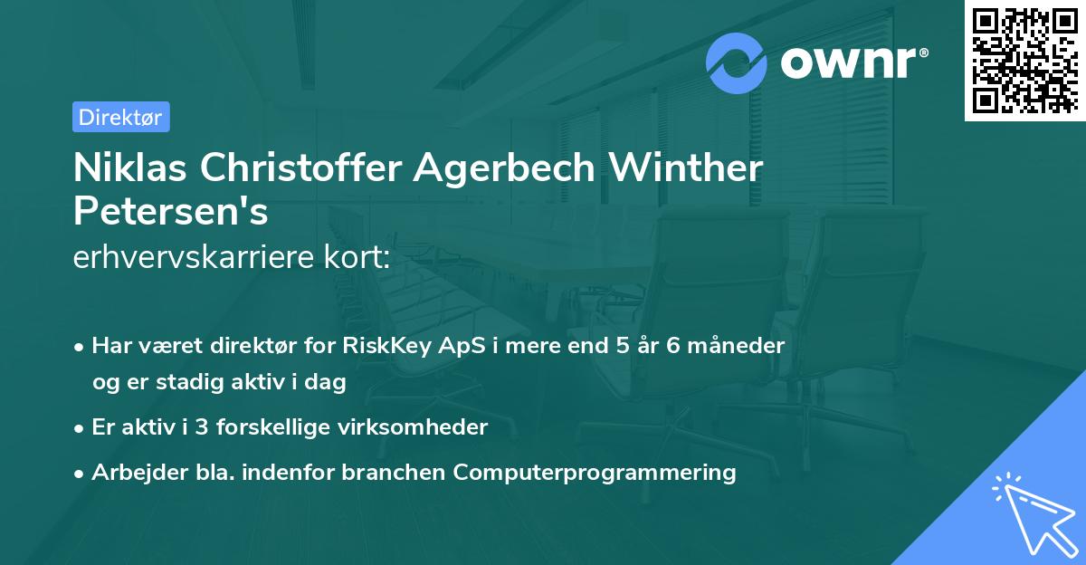 Niklas Christoffer Agerbech Winther Petersen's erhvervskarriere kort