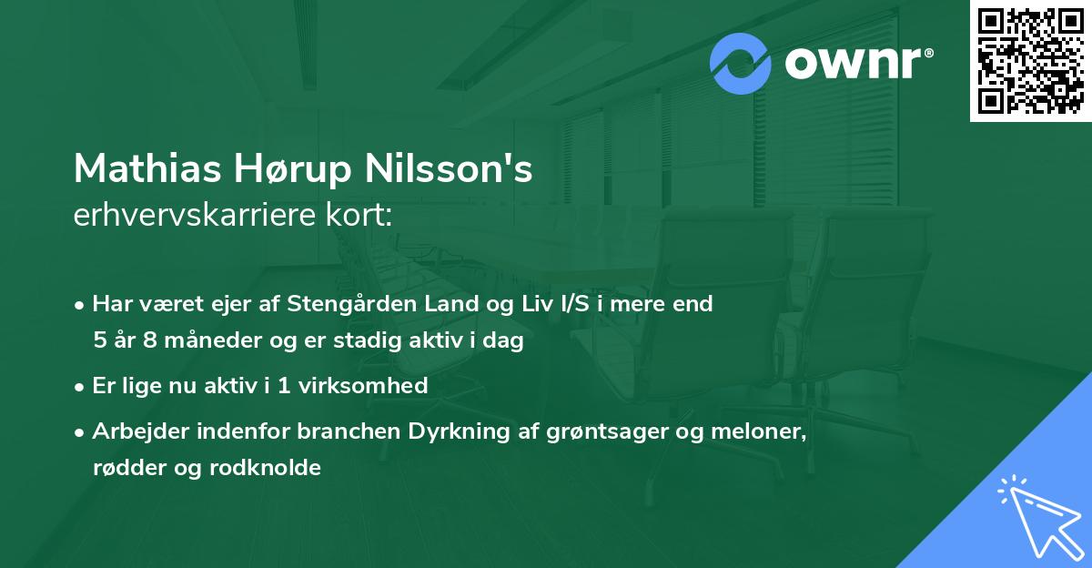 Mathias Hørup Nilsson's erhvervskarriere kort