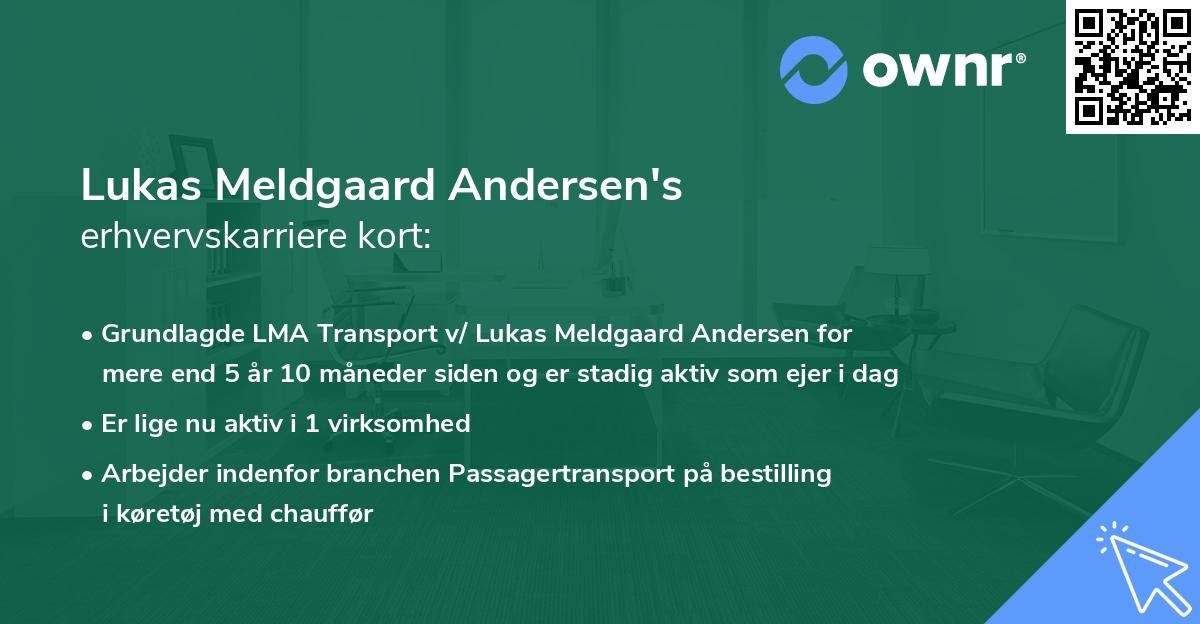 Lukas Meldgaard Andersen's erhvervskarriere kort