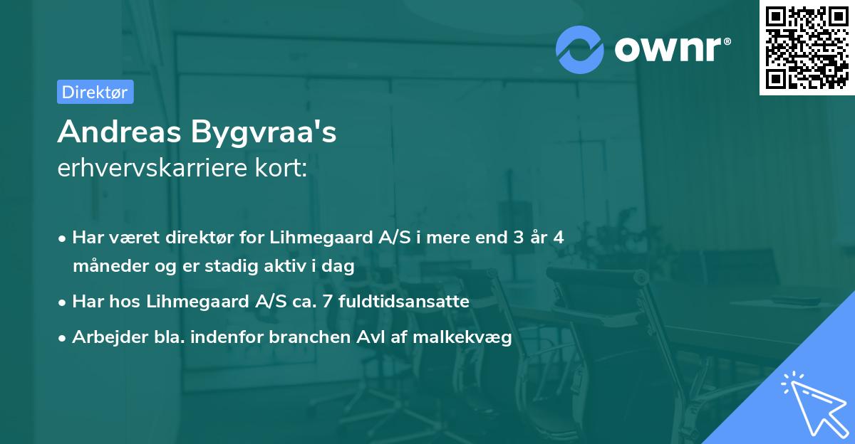 Andreas Bygvraa's erhvervskarriere kort