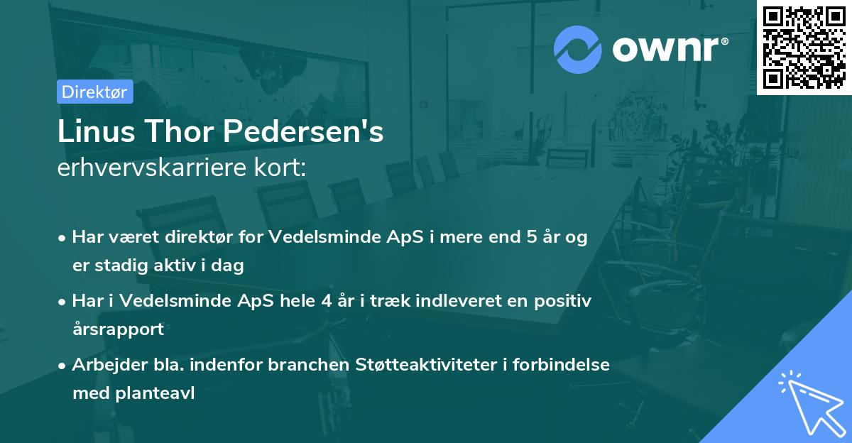 Linus Thor Pedersen's erhvervskarriere kort