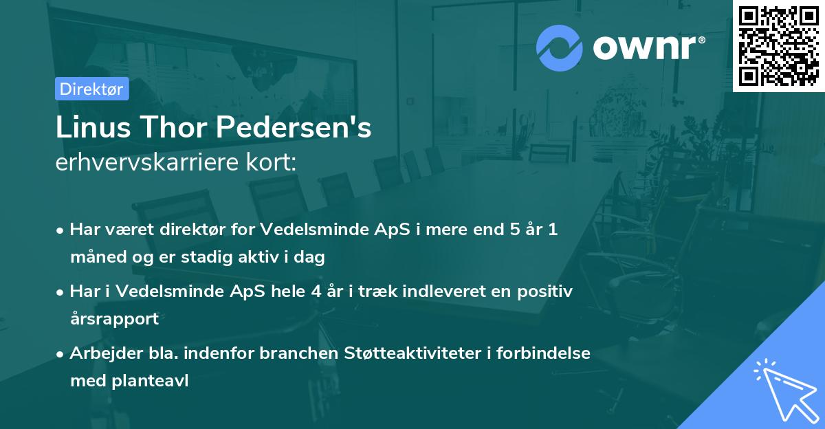 Linus Thor Pedersen's erhvervskarriere kort