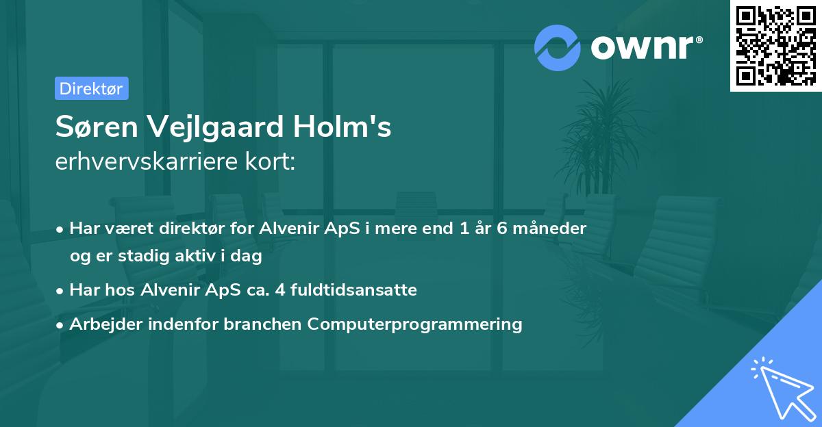 Søren Vejlgaard Holm's erhvervskarriere kort