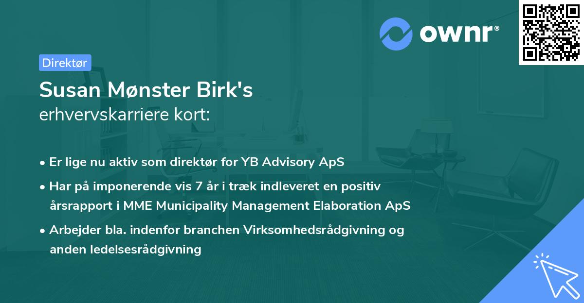 Susan Mønster Birk's erhvervskarriere kort