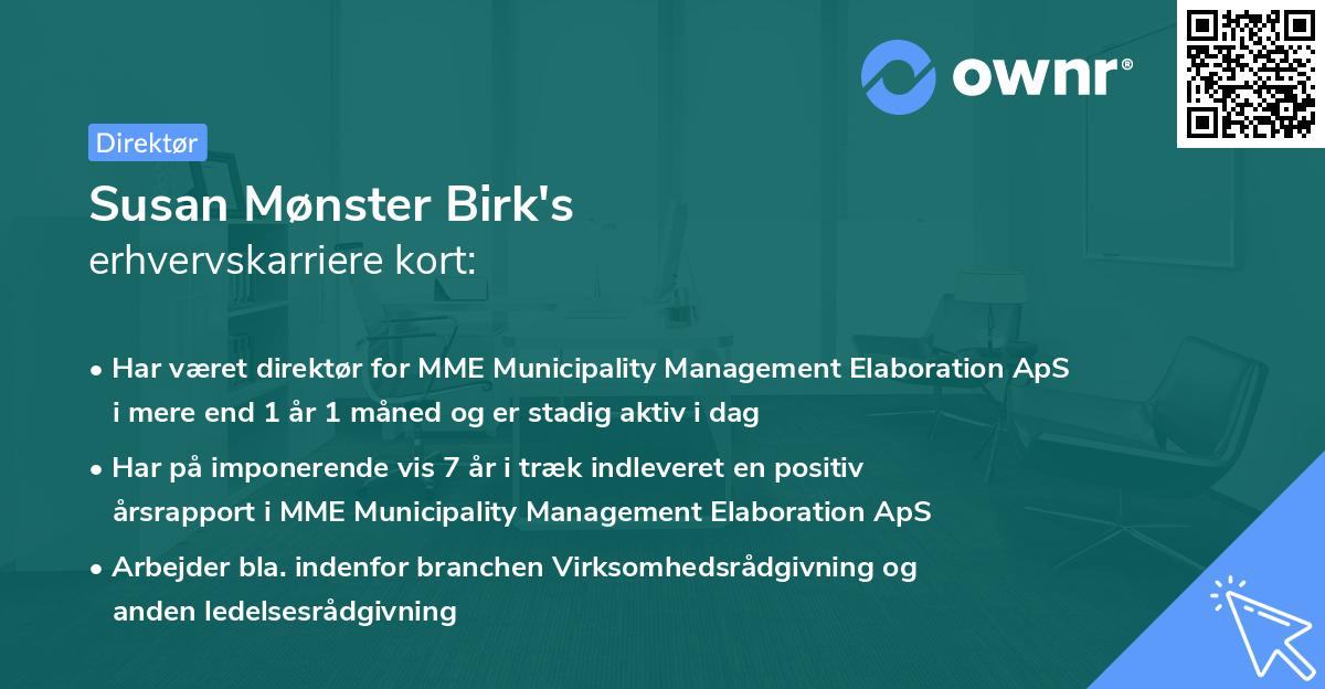 Susan Mønster Birk's erhvervskarriere kort