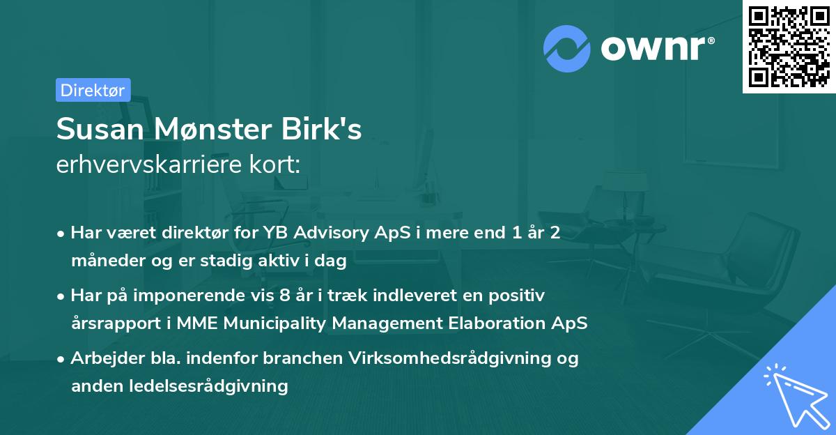 Susan Mønster Birk's erhvervskarriere kort