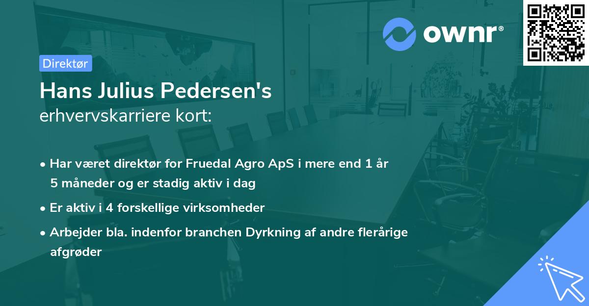 Hans Julius Pedersen's erhvervskarriere kort