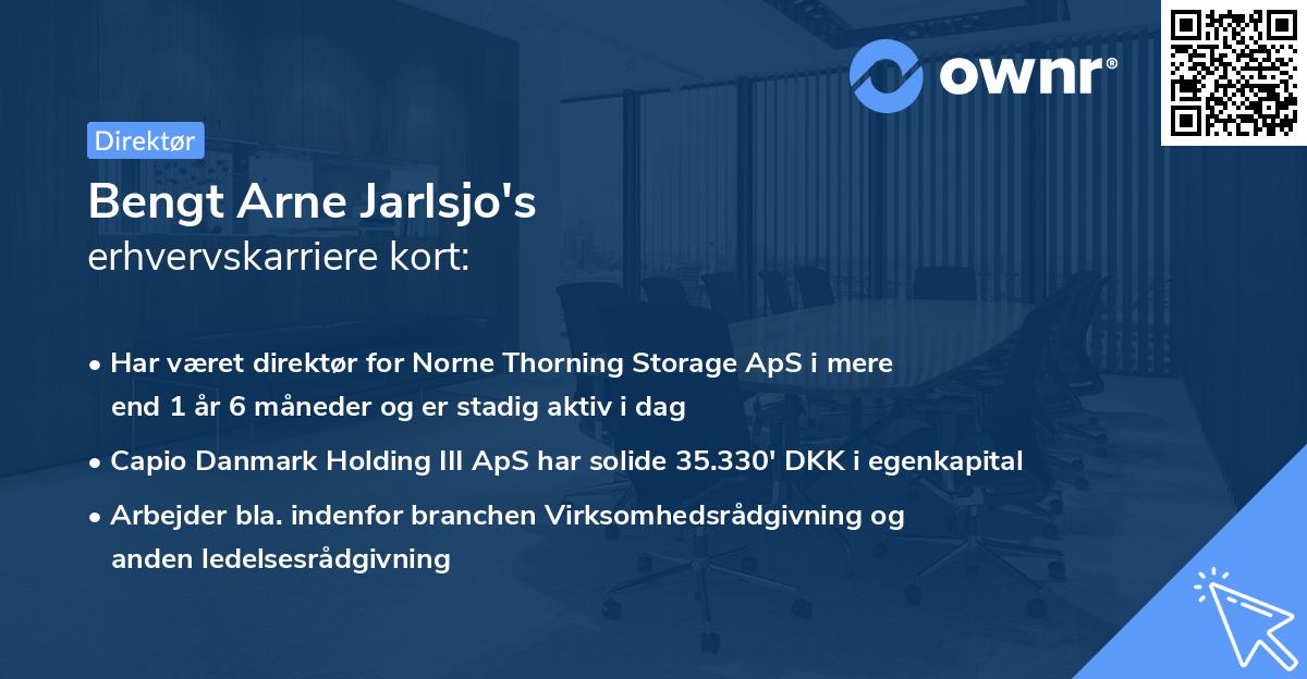 Bengt Arne Jarlsjo's erhvervskarriere kort