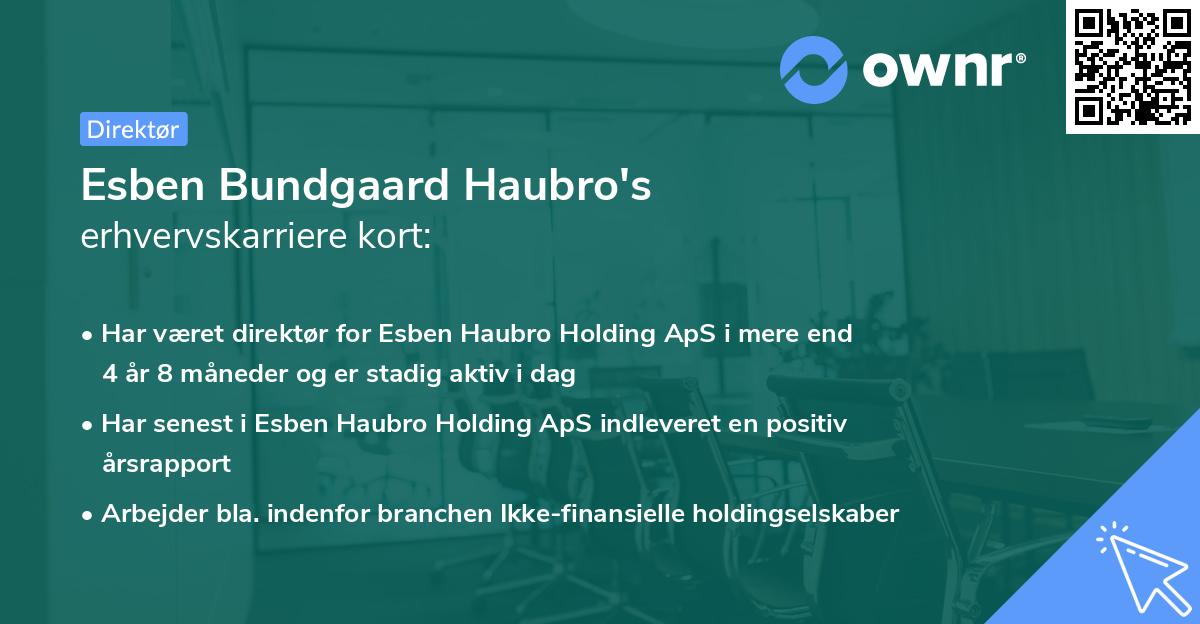 Esben Bundgaard Haubro's erhvervskarriere kort