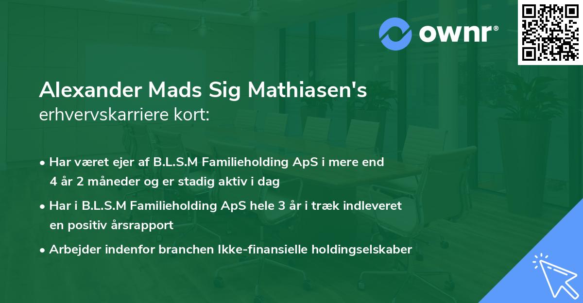 Alexander Mads Sig Mathiasen's erhvervskarriere kort