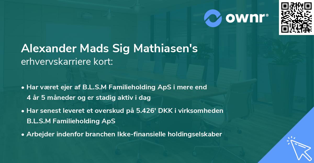 Alexander Mads Sig Mathiasen's erhvervskarriere kort