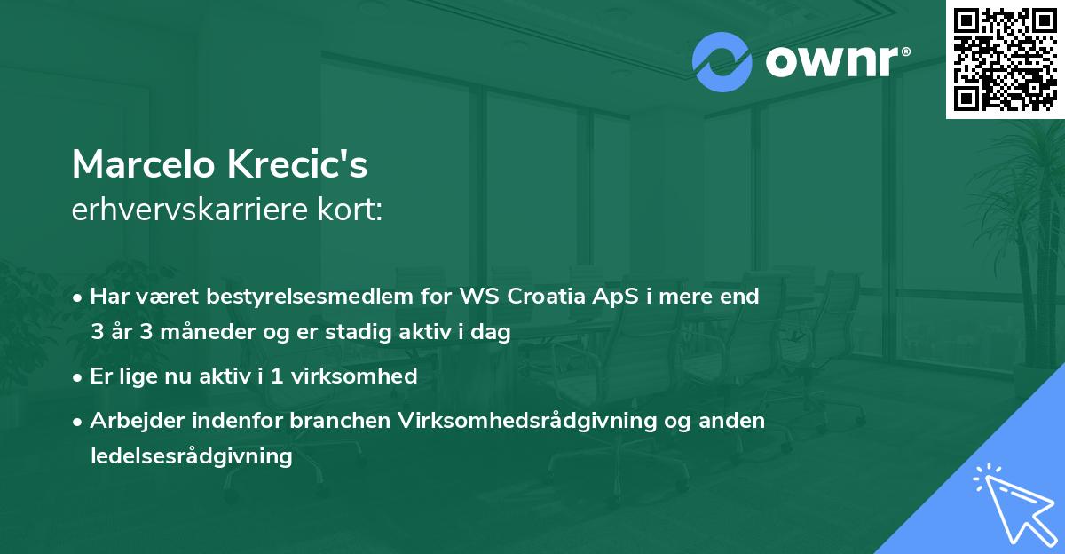 Marcelo Krecic's erhvervskarriere kort