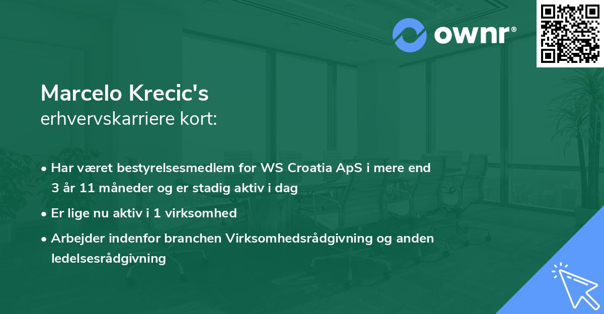 Marcelo Krecic's erhvervskarriere kort