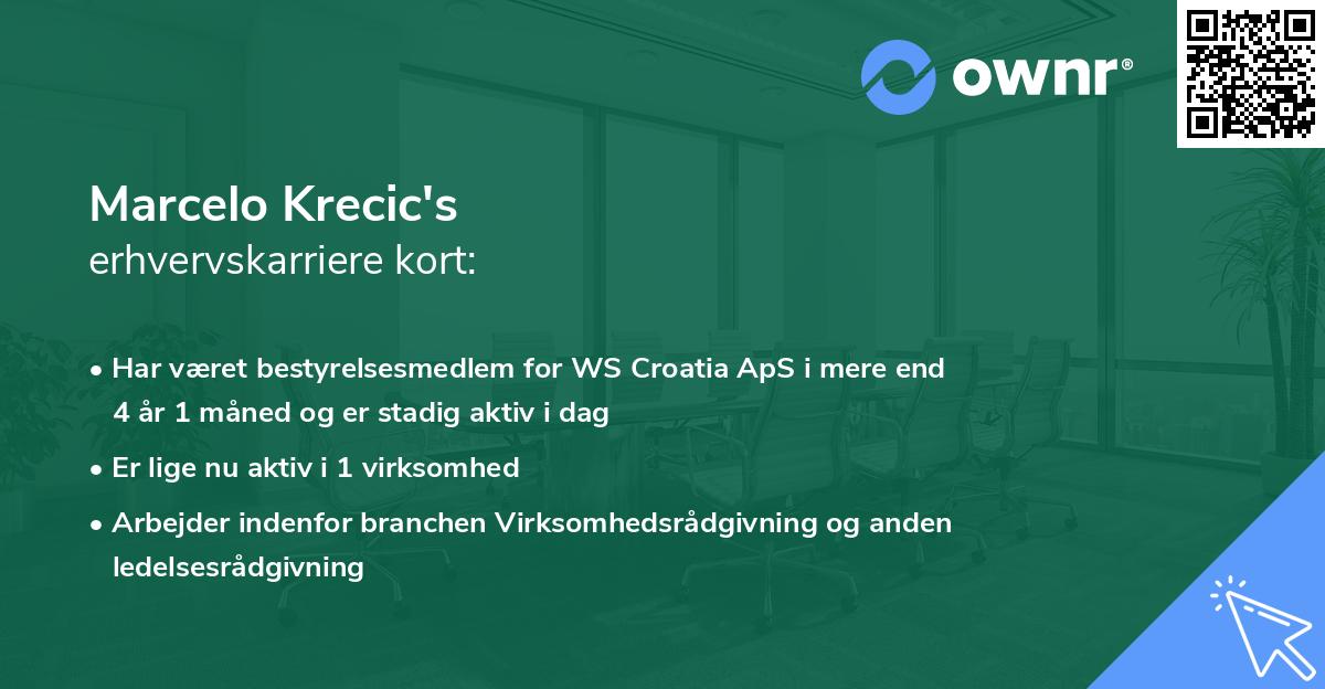 Marcelo Krecic's erhvervskarriere kort