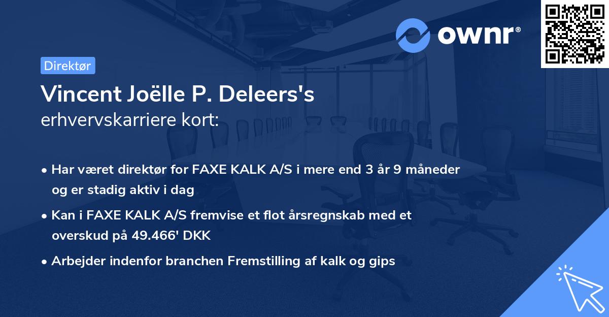Vincent Joëlle P. Deleers's erhvervskarriere kort