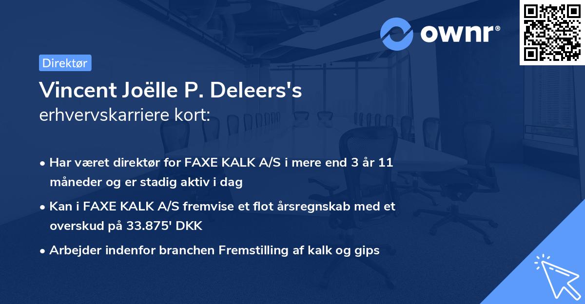 Vincent Joëlle P. Deleers's erhvervskarriere kort