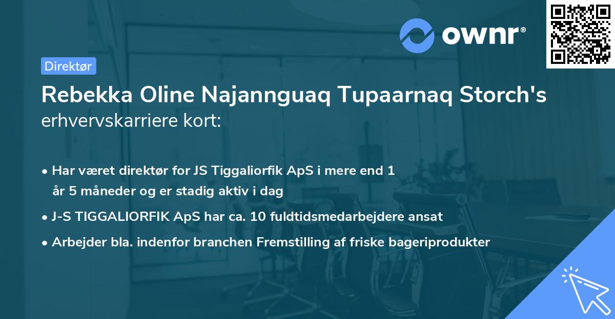 Rebekka Oline Najannguaq Tupaarnaq Storch's erhvervskarriere kort