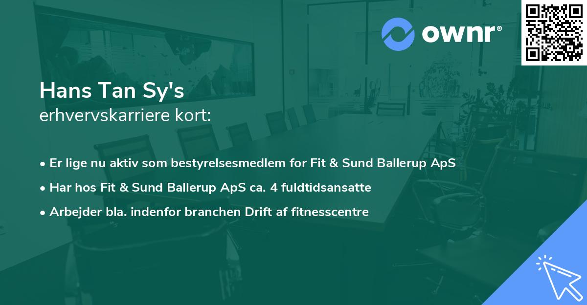 Hans Tan Sy's erhvervskarriere kort