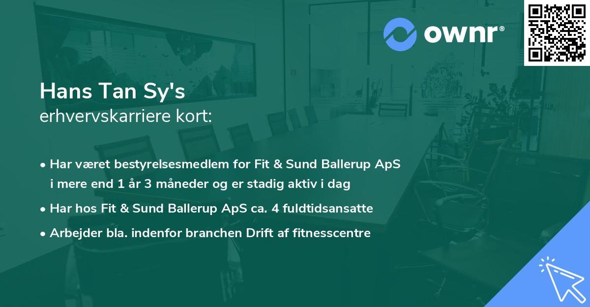 Hans Tan Sy's erhvervskarriere kort