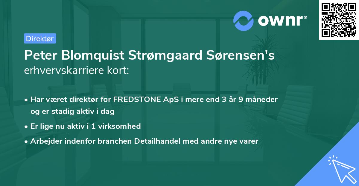 Peter Blomquist Strømgaard Sørensen's erhvervskarriere kort