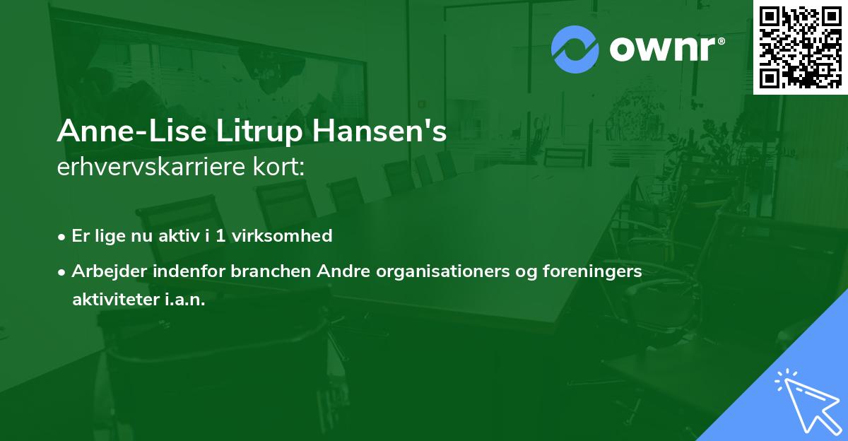 Anne-Lise Litrup Hansen's erhvervskarriere kort