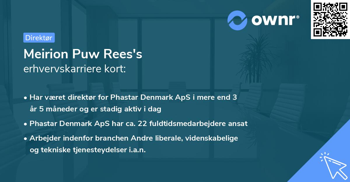 Meirion Puw Rees's erhvervskarriere kort