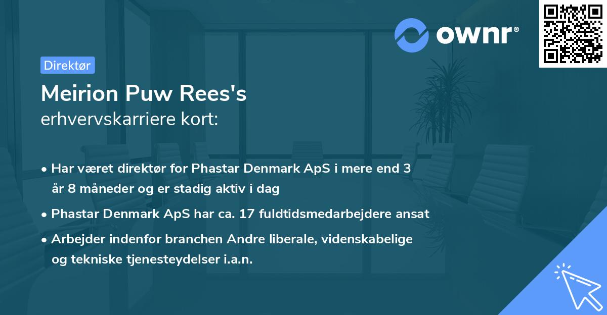 Meirion Puw Rees's erhvervskarriere kort