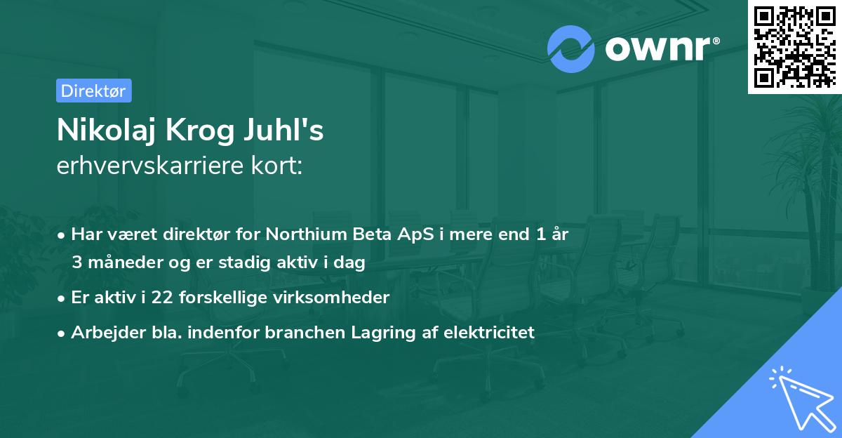 Nikolaj Krog Juhl's erhvervskarriere kort