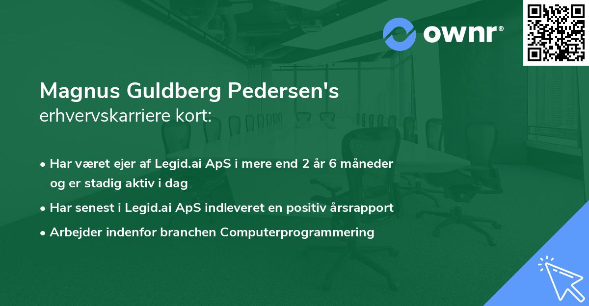 Magnus Guldberg Pedersen's erhvervskarriere kort