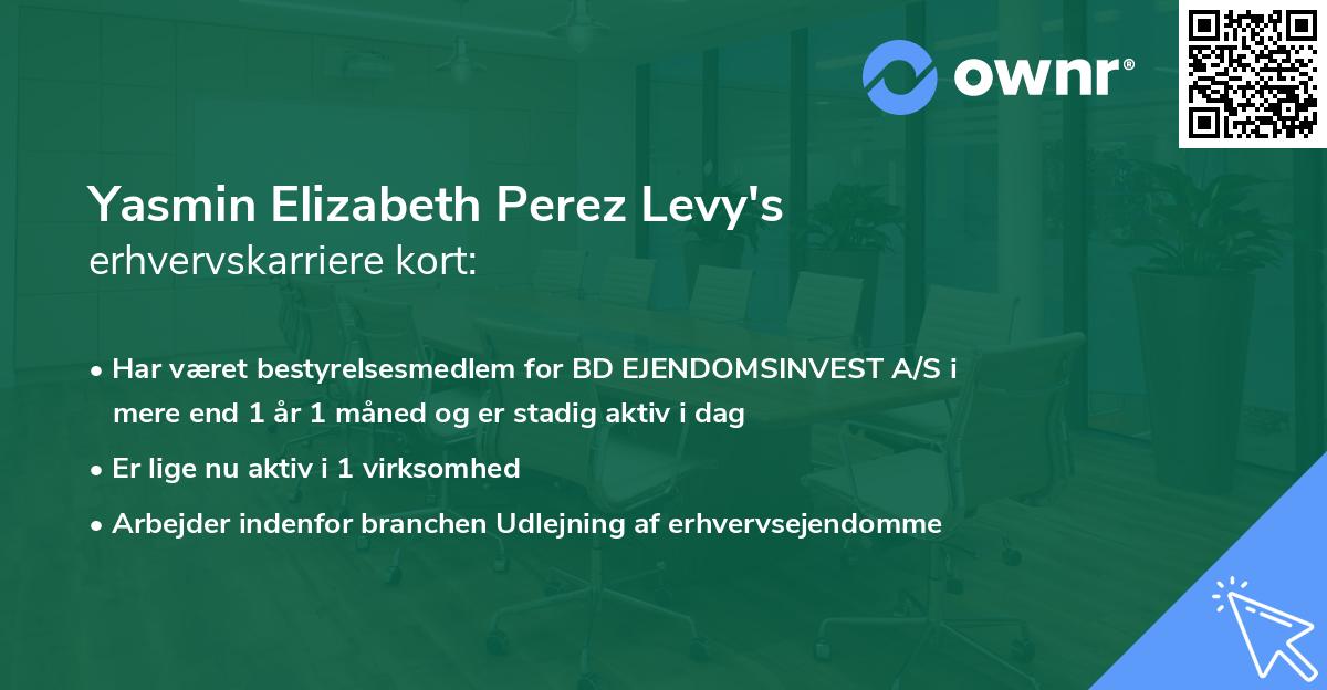 Yasmin Elizabeth Perez Levy's erhvervskarriere kort