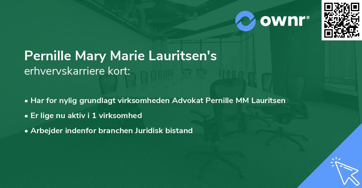 Pernille Mary Marie Lauritsen's erhvervskarriere kort