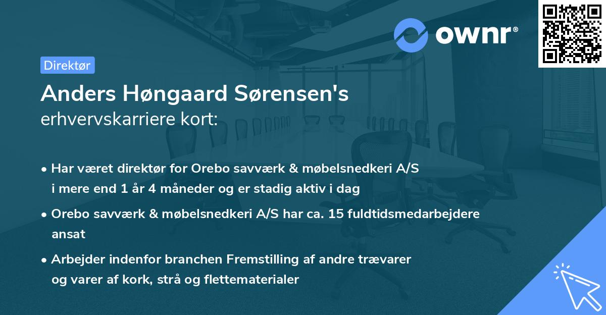 Anders Høngaard Sørensen's erhvervskarriere kort