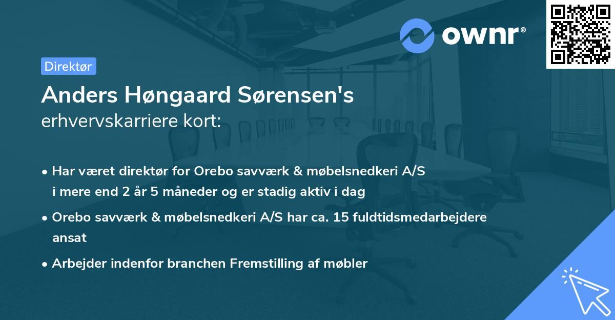 Anders Høngaard Sørensen's erhvervskarriere kort