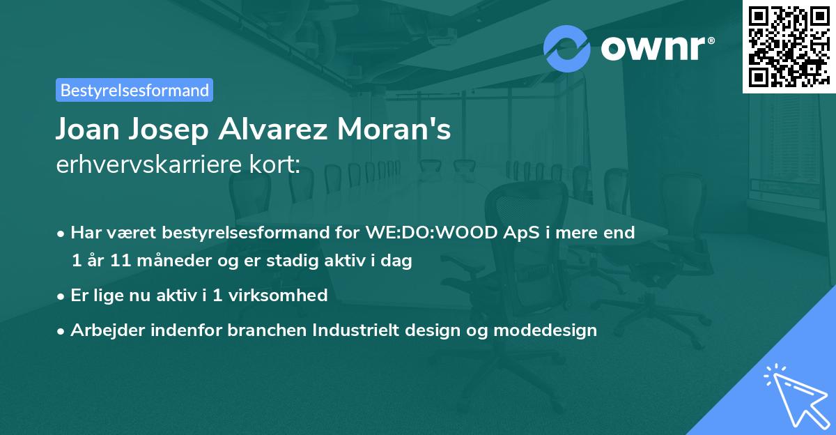 Joan Josep Alvarez Moran's erhvervskarriere kort