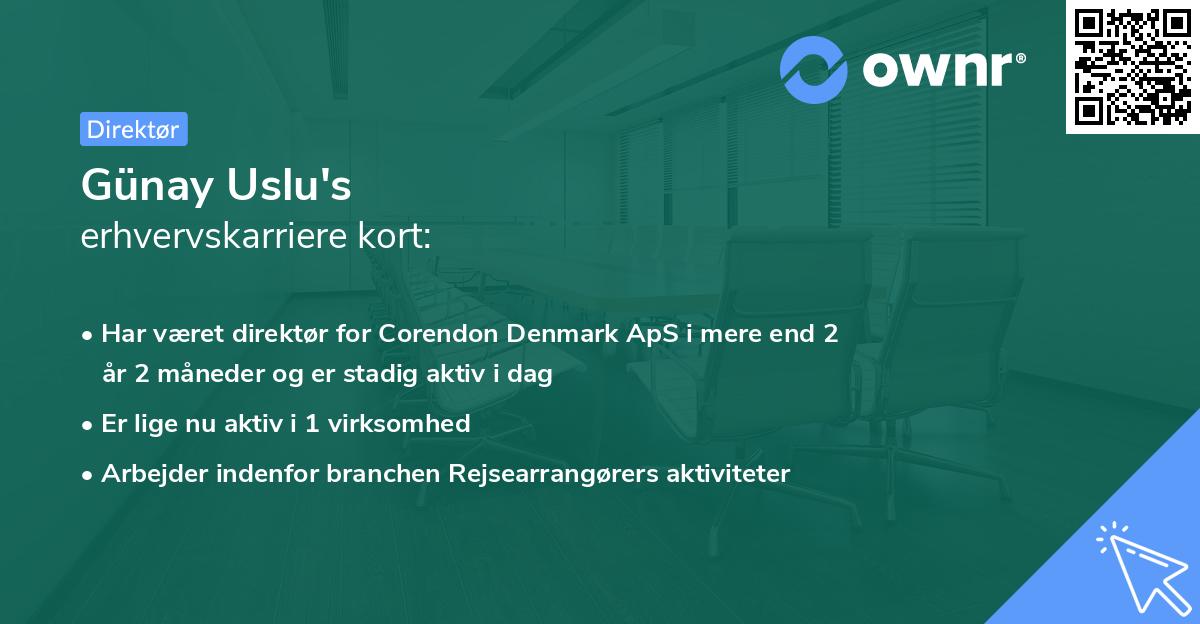 Günay Uslu's erhvervskarriere kort